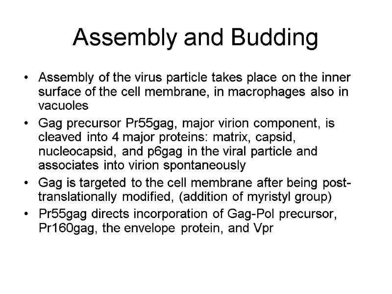 Assembly and Budding Assembly of the virus particle takes place on the inner surface